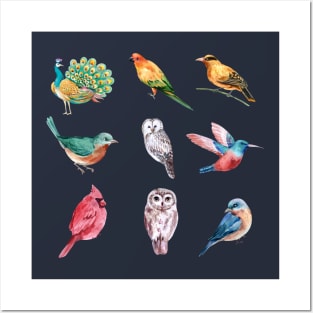 hand drawn watercolor birds collection Posters and Art